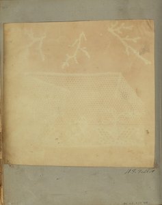 A Fragment of Lace with Three Sprigs of Moss by William Henry Fox Talbot